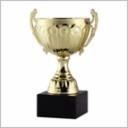 AMC209 ASSEMBLED CUP GOLD