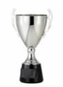 ASSEMBLED CUP SILV 14¼"