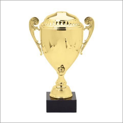 ASSEMBLED ITALIAN CUP 40-DWL