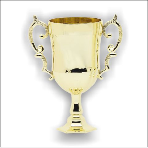 EUROPEAN STYLE CUP 5-1/4