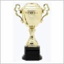 VERONA ASSEMBLED CUP
