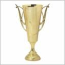 WREATH CUP 10-1/2"