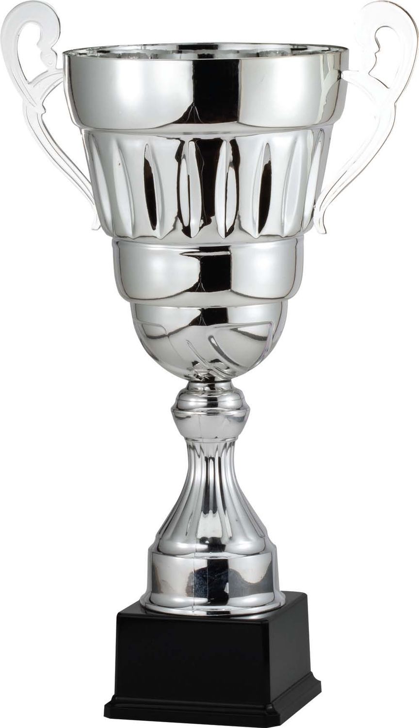 ASSEMBLED CUP, SILVER 376