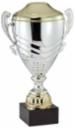 ASSEMBLED ITALIAN CUP 61