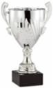 ASSEMBLED ITALIAN CUP 67