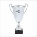ASSEMBLED ITALIAN CUP 45