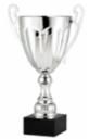 ASSM PROMO SILV CUP 401