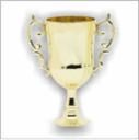 EUROPEAN STYLE CUP 10"