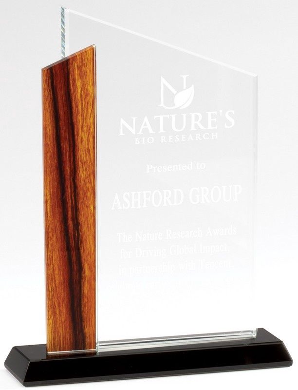 WEDGE W/WOOD EDGE 4"