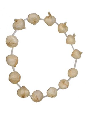 Halsketting knoflook