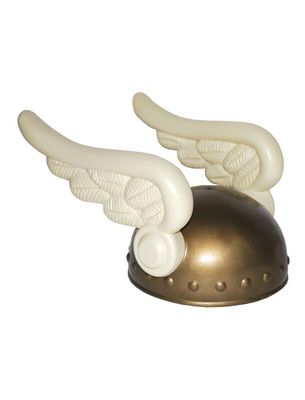 Asterales Helm Kinder