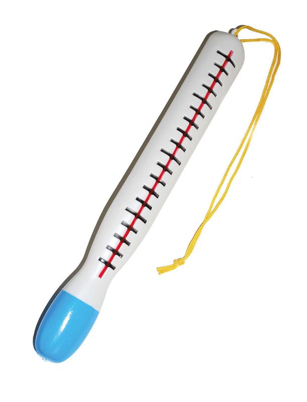 Thermometer 30 cm