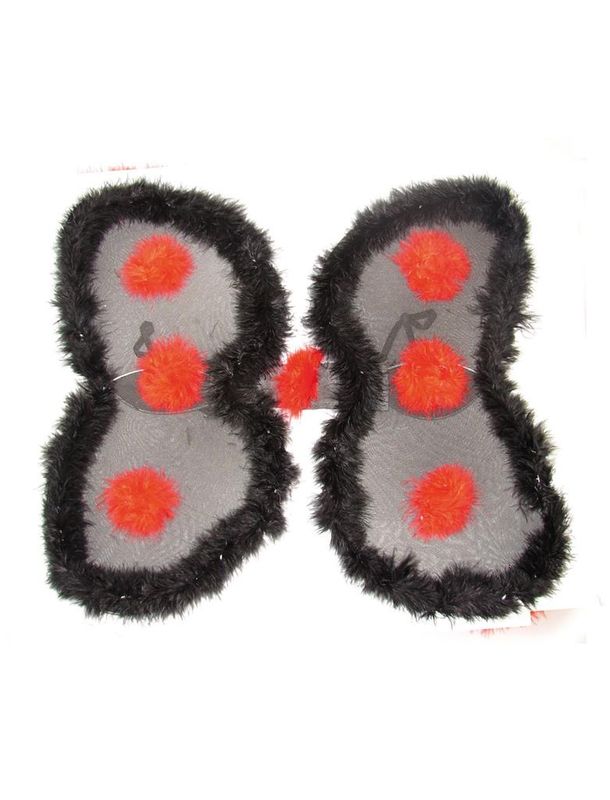 Flügel Marienkäfer