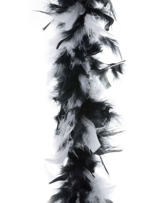 Federboa 2m Schwarz/Weiß 45gr