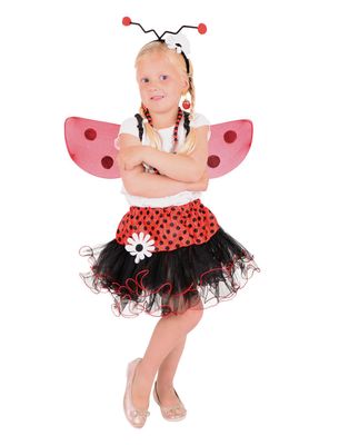 Baby Marienkäfer 3-tlg.