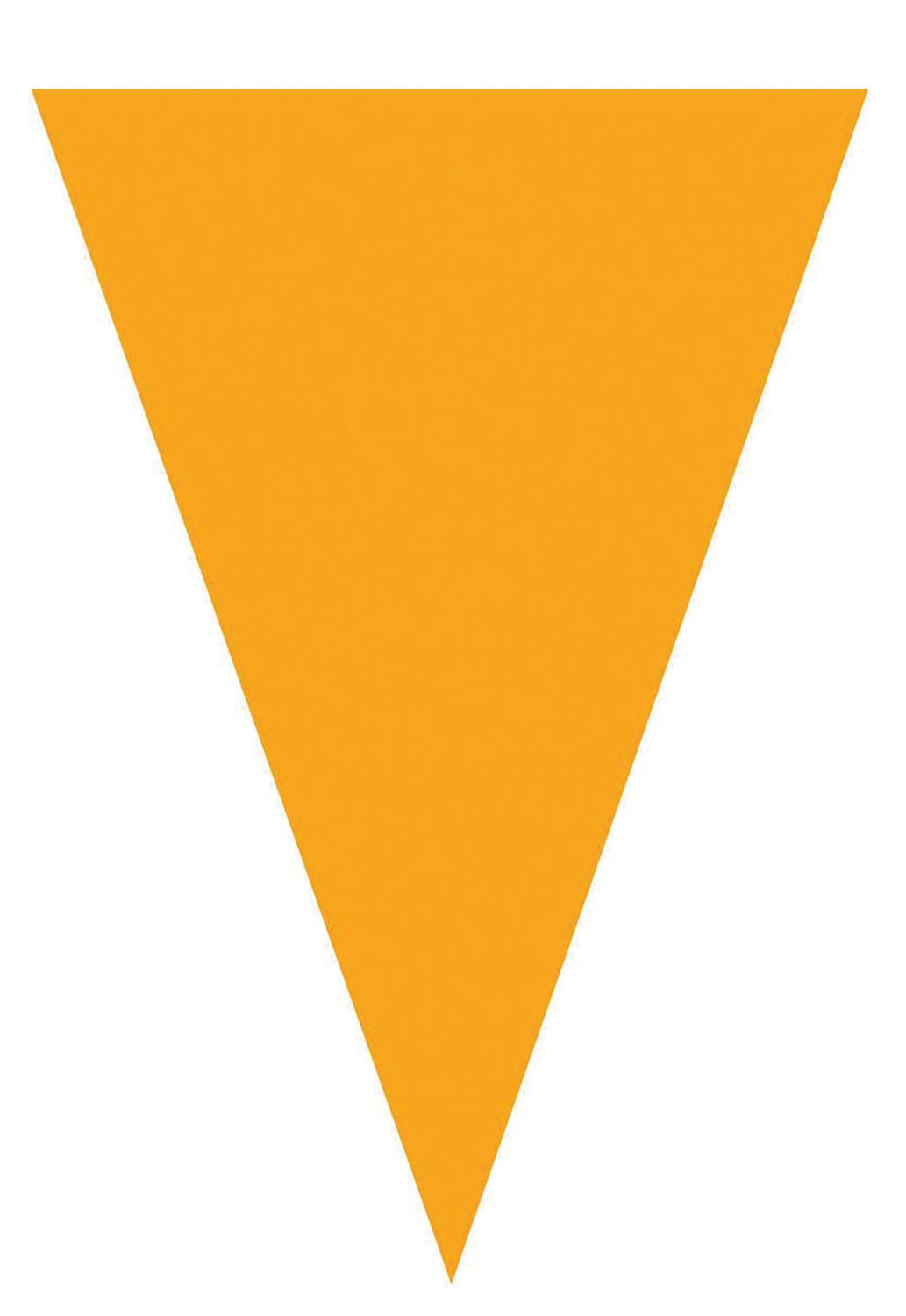Vlaggenlijn 5m 10 vlaggen oranje Vlaggenlijn 5m 10 vlaggen oranje