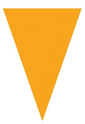 Vlaggenlijn 5m 10 vlaggen oranje Vlaggenlijn 5m 10 vlaggen oranje