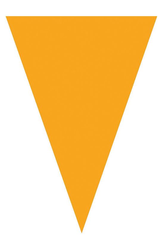 Vlaggenlijn 5m 10 vlaggen oranje