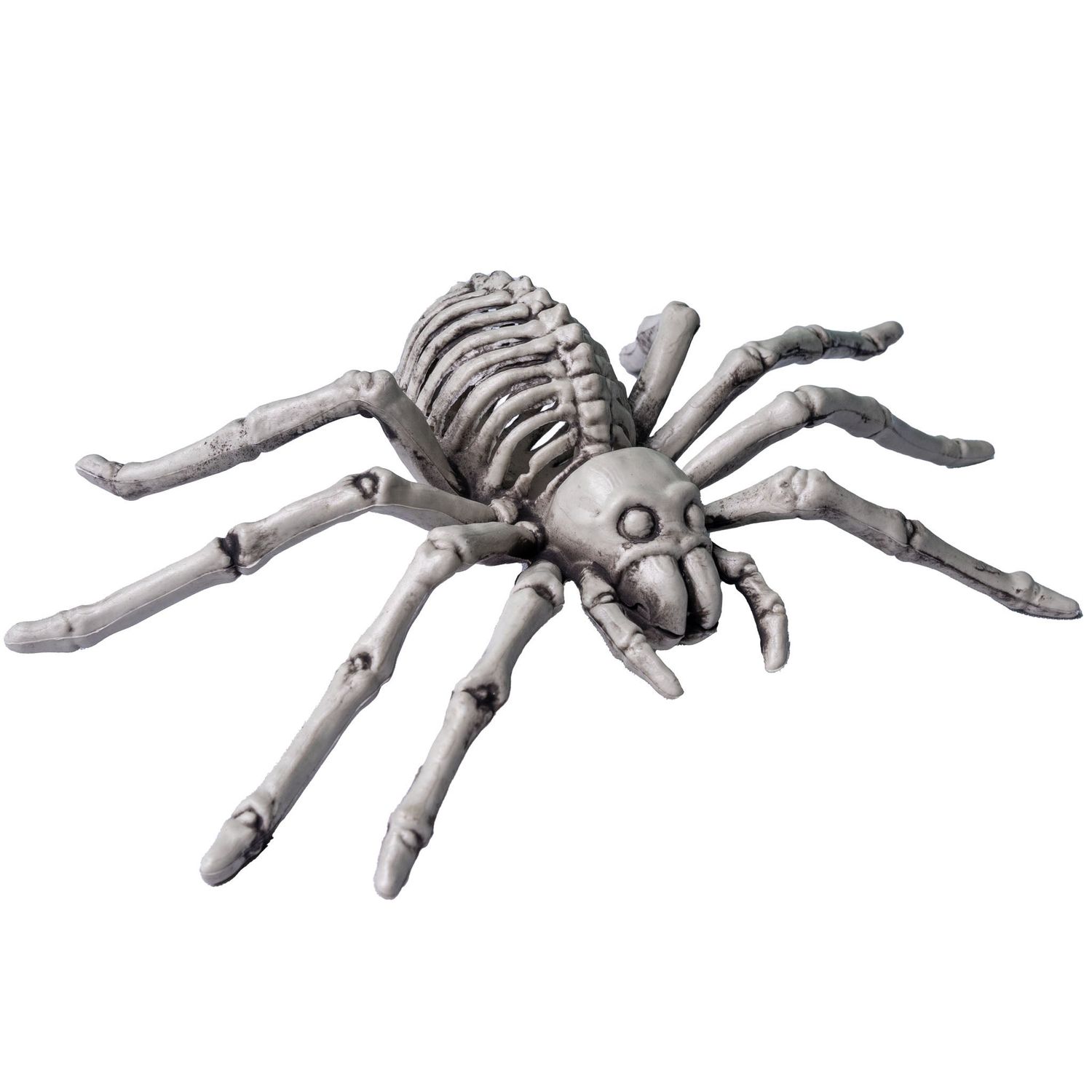 Spin Skelet Spin Skelet