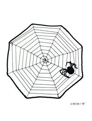 Spinnenweb met spin Spinnenweb met spin