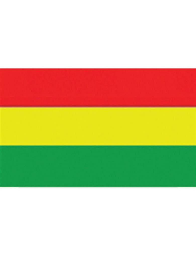 Flagge 150 x 90cm RGGr