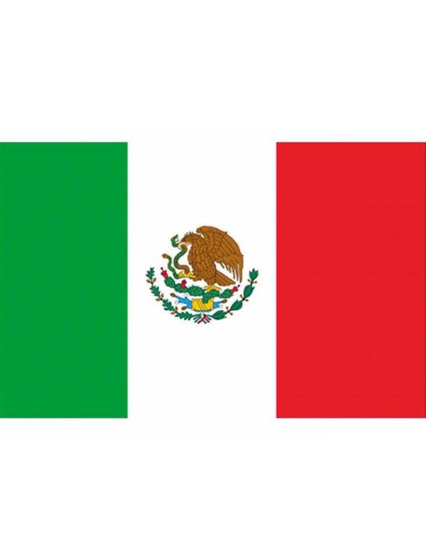 Vlag 150 x 90 cm Mexico