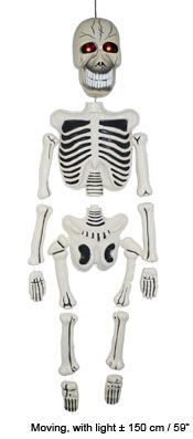Skelett 150cm, beweglich mit Licht Skelett 150cm, beweglich mit Licht