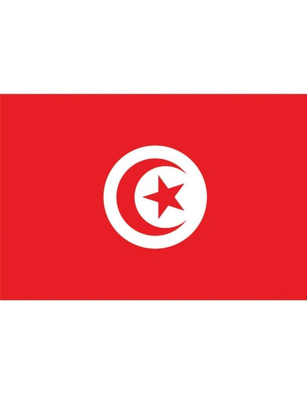 Vlag 150 x 90 cm Tunesië