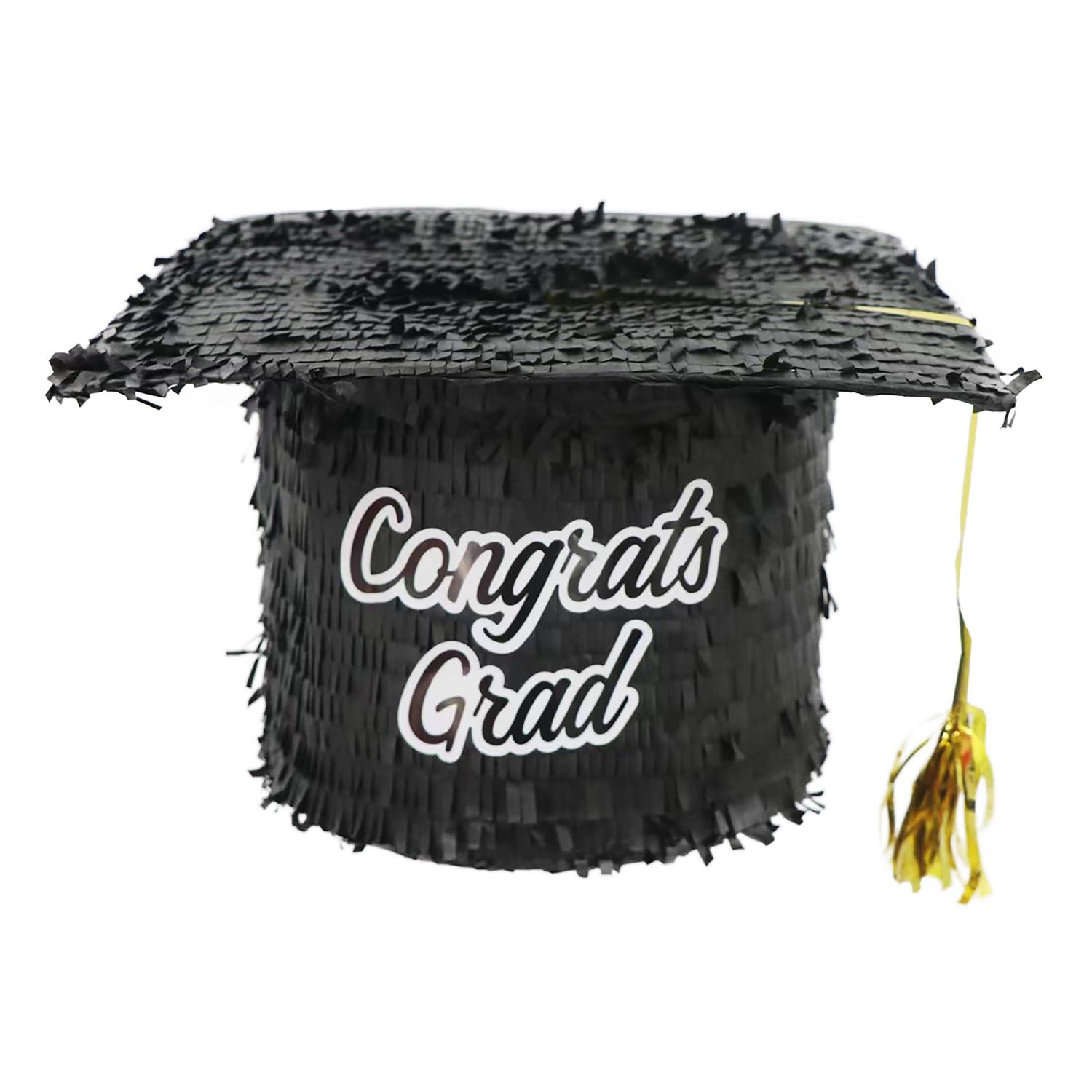 Pinata Professorhoed Pinata Professorhoed