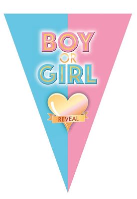 Wimpelkette Baby Reveal 5m