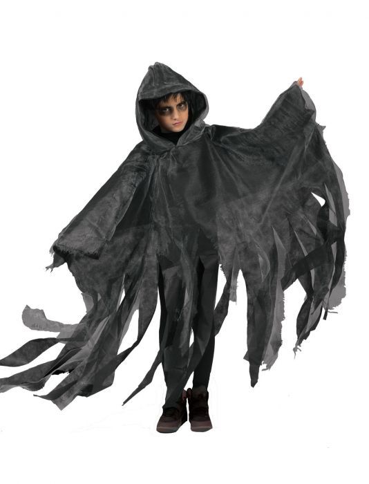 Cape grijs kind Cape grijs kind