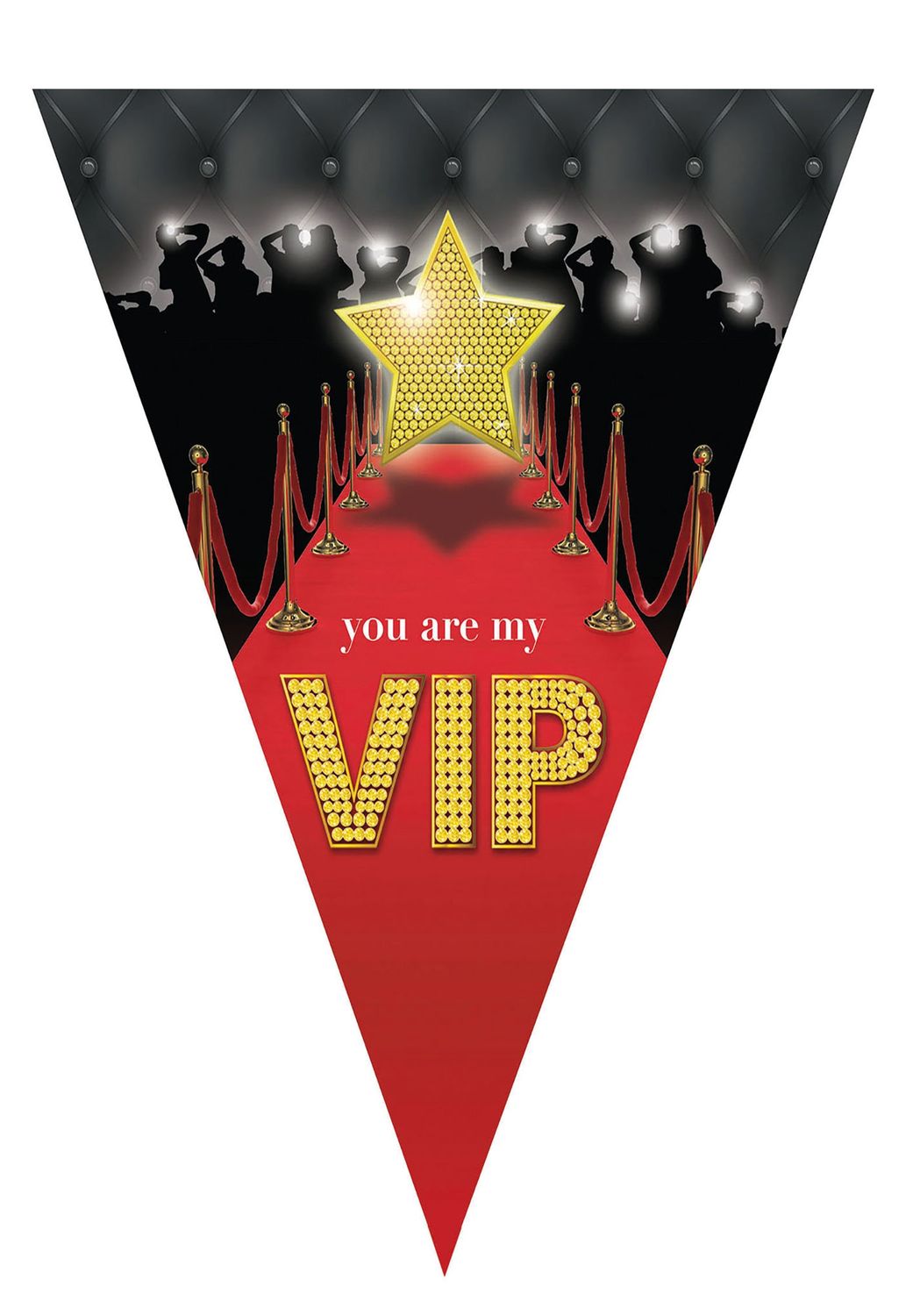 Wimpelkette VIP 5m