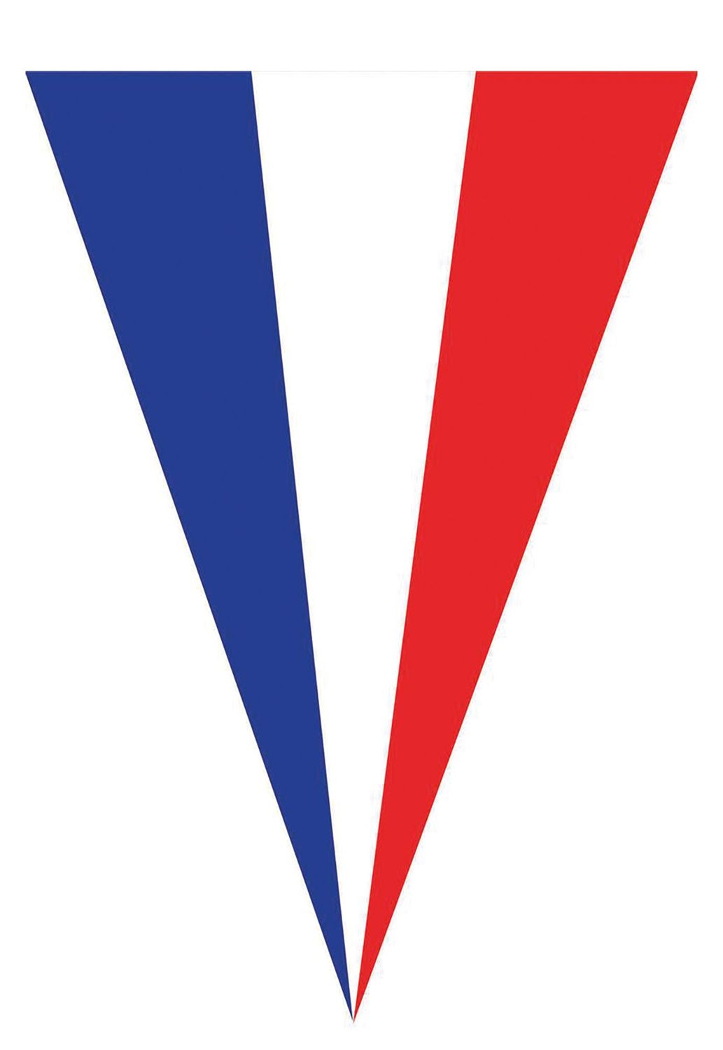 Vlaggenlijn 5m 10 vlaggen Frankrijk