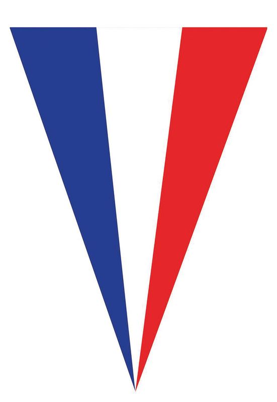 Vlaggenlijn 5m 10 vlaggen Frankrijk
