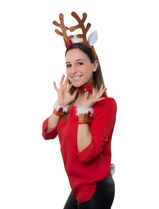 Zubehör-Set Rentier 4-tlg.