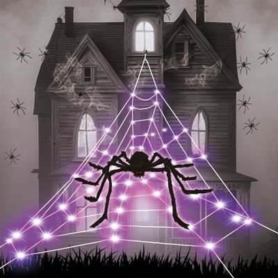 LED Spinnenweb met spin 5m