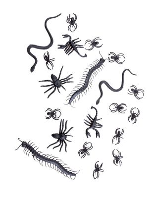 Insekten gemischt 20 St Insekten gemischt 20 St