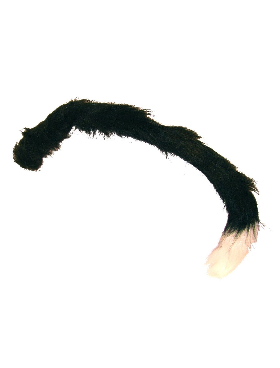Kattenstaart