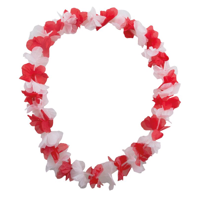 Hawaiikette rot-wei