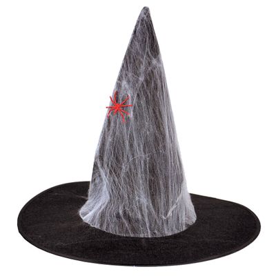 Hexenhut  Spinnweben