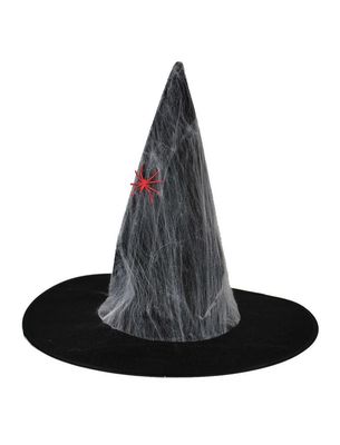 Hexenhut  Spinnweben