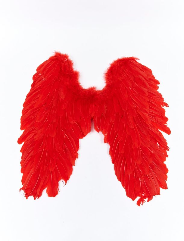 Vleugels met rode veren