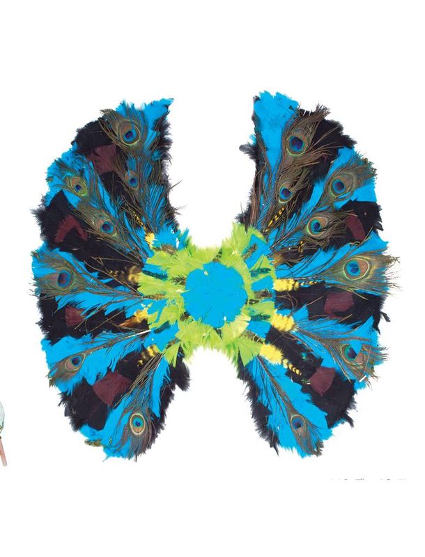Flügel Pfau