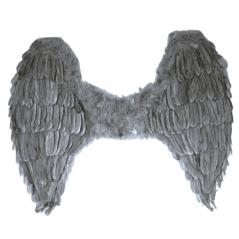 Federflügel Grau 70cm