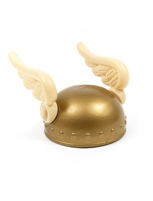 Asterales Helm