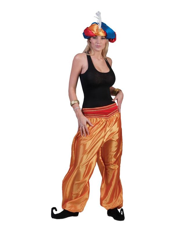 Jasmine 1001 nacht Broek Goud Vrouwen