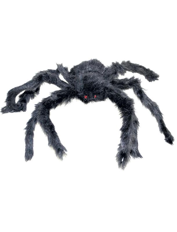 Spinne 60cm