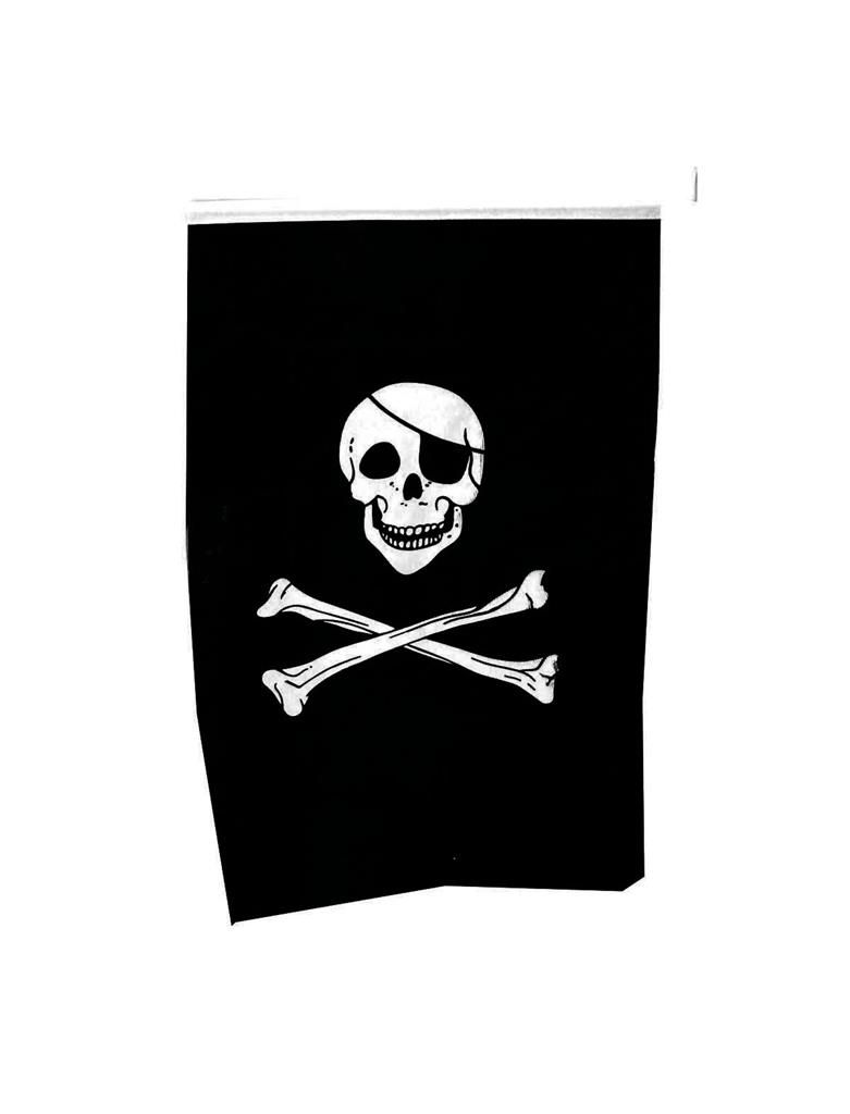 Fahne 40 x 60cm Pirat