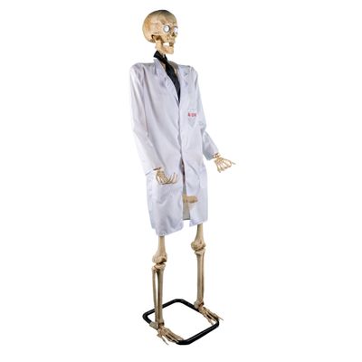Doktor Love Skelett 152cm Animatronic