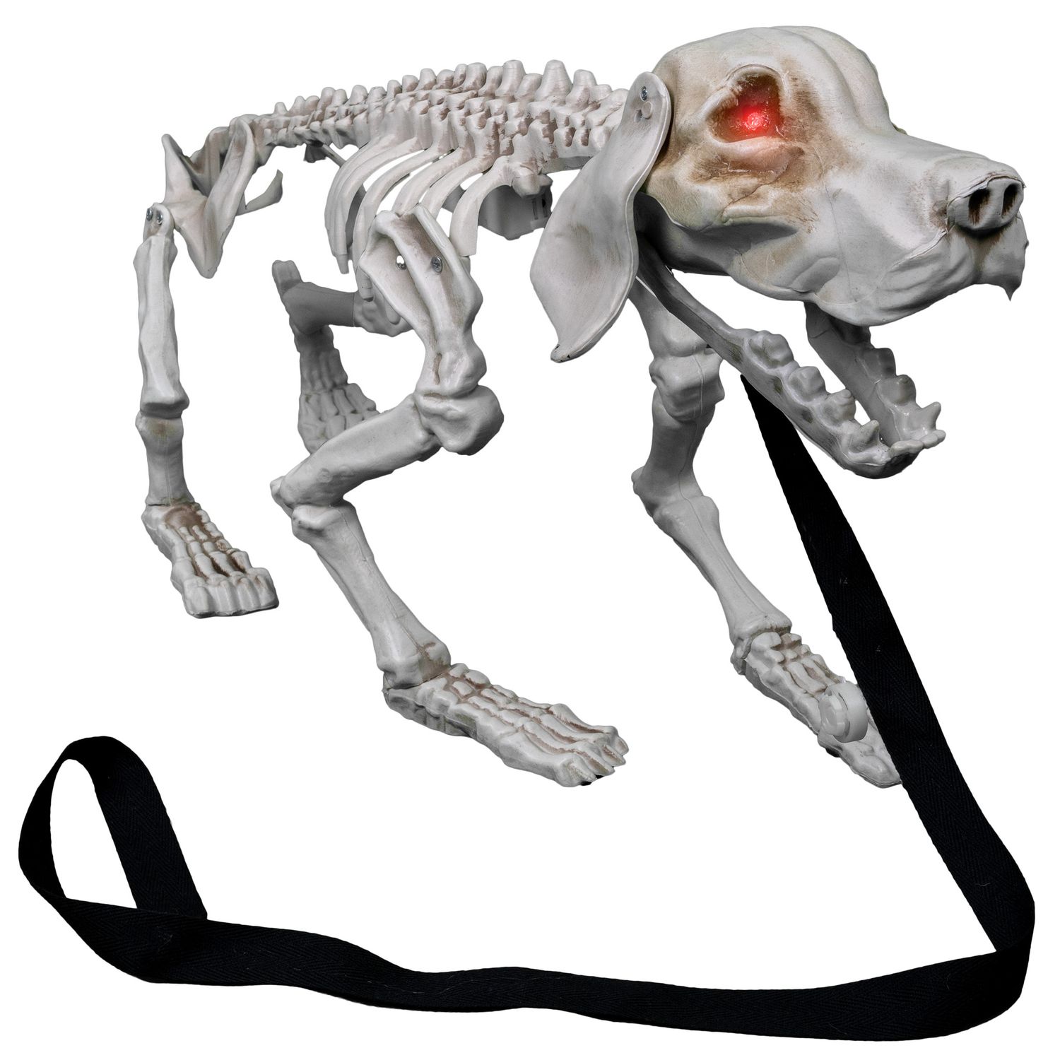 Bellendes Hundeskelett 32cm Animatronic